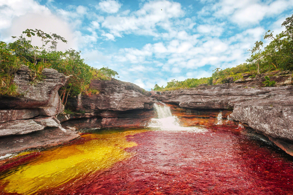 Caño Cristales - Los Ochos