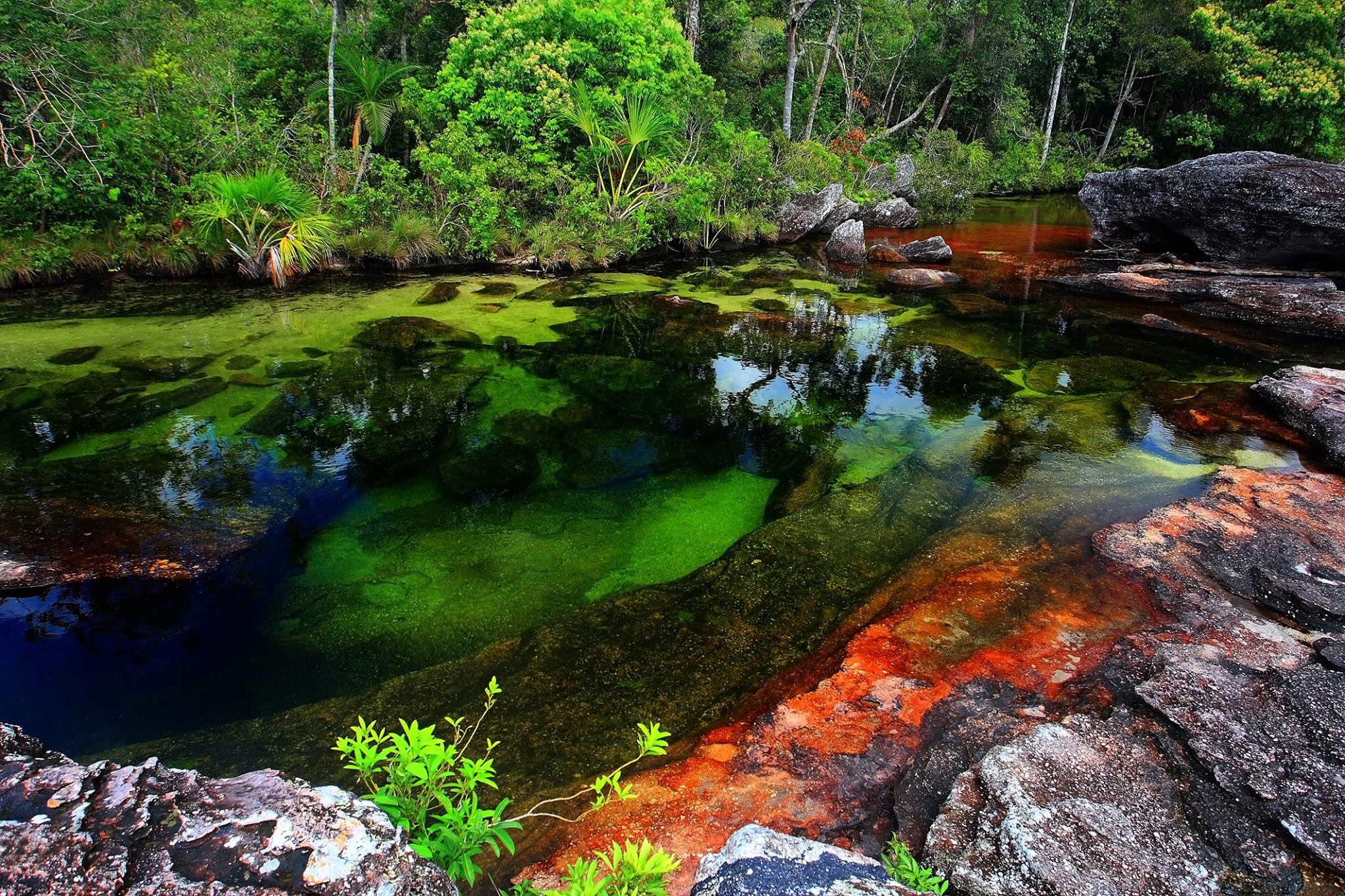 Caño Cristales River Colombia