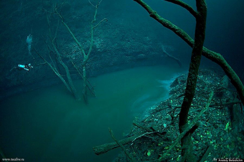 Underwater River Cenote Angelita Mexico