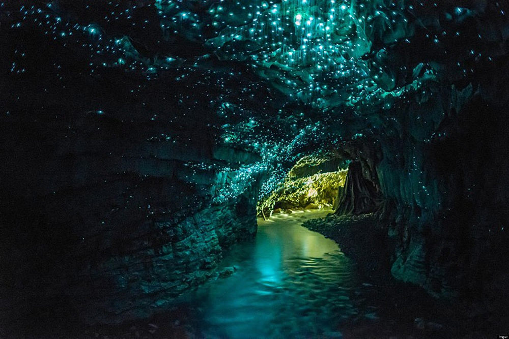 Waitomo New Zealand