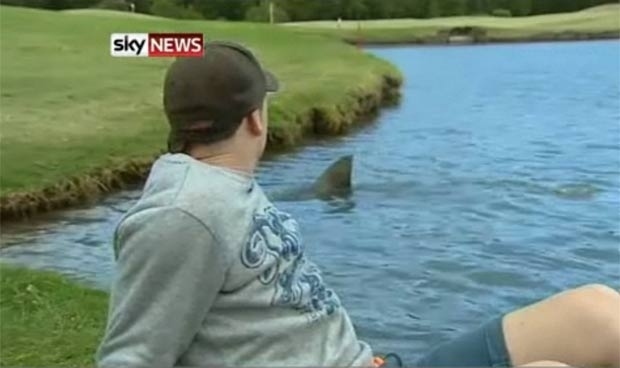 09-Sharks-in-the-golfing-grounds